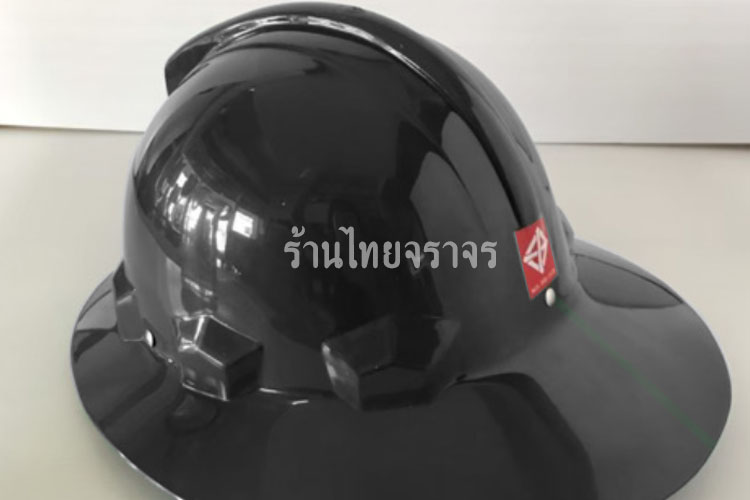 helmet